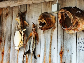 Casa per le vacanze Tustna  36