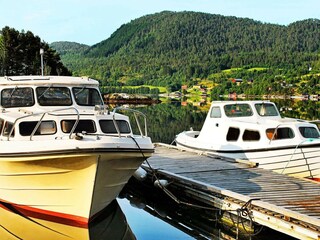 Casa per le vacanze Tustna  40