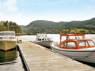 Casa per le vacanze Tustna  41