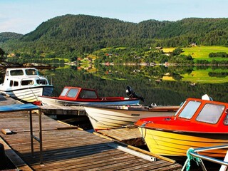 Casa per le vacanze Tustna  42