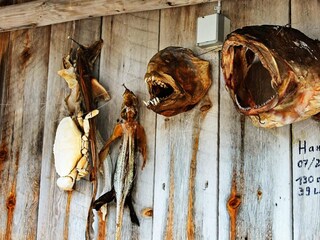 Maison de vacances Tustna  16