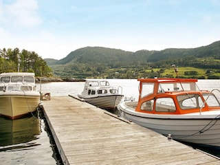 Vakantiehuis Tustna  35