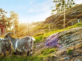 Casa de vacaciones Tustna  21