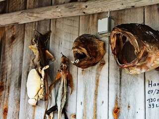 Vakantiehuis Tustna  23