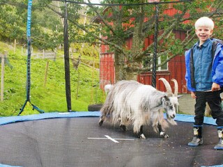 Vakantiehuis Tustna  8