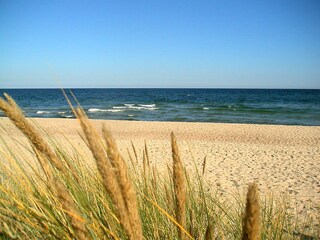 Maison de vacances Wieck Environnement 19