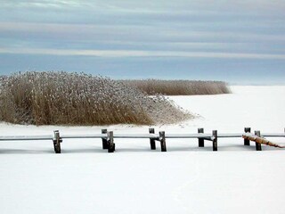 Casa per le vacanze Wieck Ambiente 35