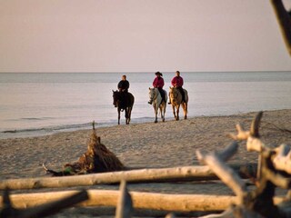 Vakantiehuis Wieck Omgeving 38