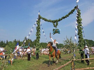 Vakantiehuis Wieck Omgeving 39