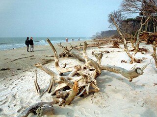 Casa de vacaciones Wieck Entorno 40