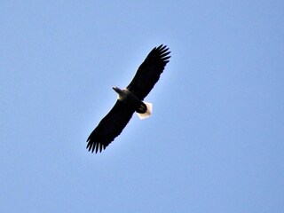 Casa per le vacanze Bøvågen Registrazione all'aperto 11