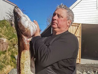 Vakantiehuis Bøvågen  44