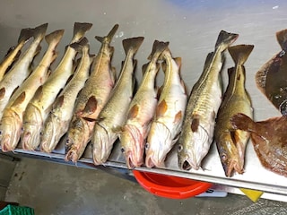 Casa per le vacanze Bøvågen  33