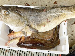 Ferienhaus Bøvågen  34