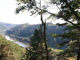 Holiday apartment Bad Schandau Environment 18