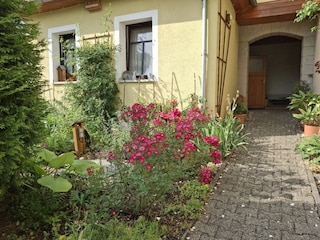 Ferienwohnung Bad Schandau Außenaufnahme 5