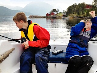Vakantiehuis Flesnes  5