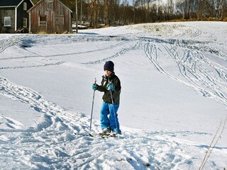 Holiday house Flesnes  3