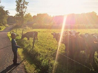 Ferienhaus Varekil  13