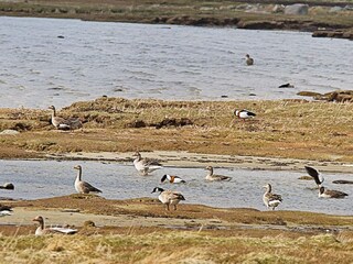 Casa per le vacanze Varekil  9