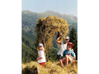 Casa per le vacanze Taxenbach  18