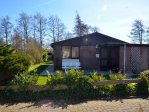 Ferienhaus Dijk 198 - Schoorl - image1