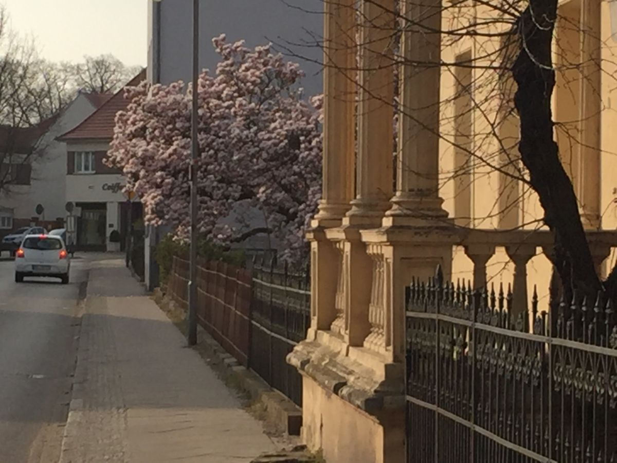 Wohnung Ketzin Wohnung Ketzin
