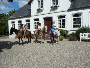 Ferienwohnung auf dem Bauernhof - Gelting - image1