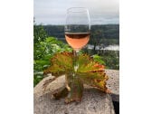 Genießen Sie köstlichen Wein vom Mariaberg