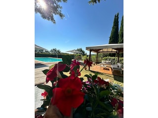 Blick auf den Pool
