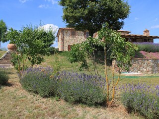Vakantieappartement Trequanda Buitenaudio-opname 9