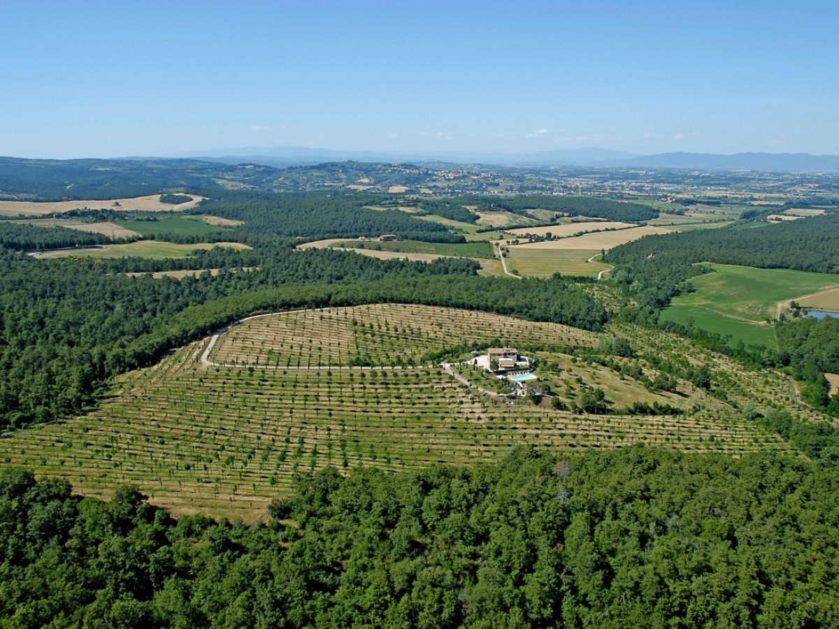 Panorama mit Blick