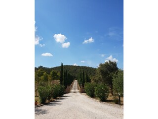 Vakantieappartement Trequanda Buitenaudio-opname 3