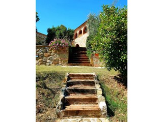 Vakantieappartement Trequanda Buitenaudio-opname 11