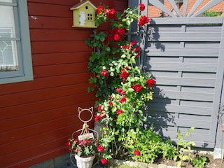 Apartment Runkel Außenaufnahme 4
