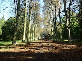 Apartment Runkel Environment 21