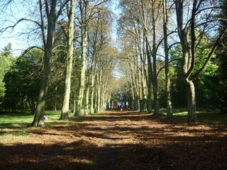 Appartamento Runkel Ambiente 20