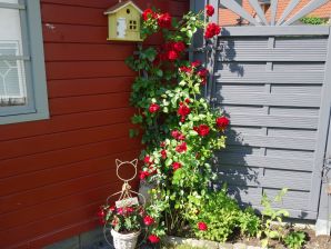 Apartment Traumhafte Wohnung mit eigener Terrasse in Runkel - Runkel - image1