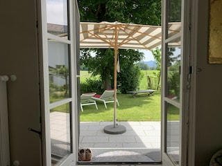 Blick in den Garten