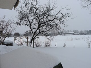 Blick aus dem Wohnzimmer im Winter