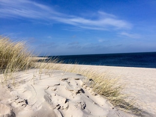 strand-meer -dünen