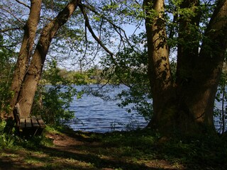 Appartamento per vacanze Klein Wittensee Ambiente 15