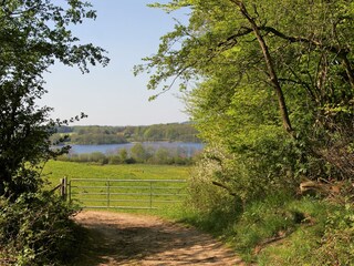 Appartamento per vacanze Klein Wittensee Ambiente 16