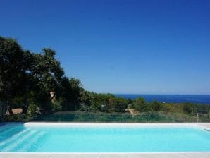 Villa with private heated pool 900m. beach and cove - Sari-Solenzara - image1