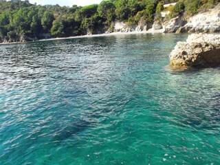 Villa Sari-Solenzara Ambiente 17