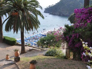 Appartamento per vacanze Le Rayol-Canadel Ambiente 23