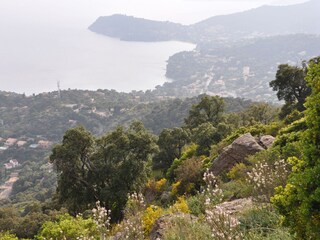 Appartamento per vacanze Le Rayol-Canadel Ambiente 25