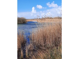 Holiday house Ouddorp Environment 32