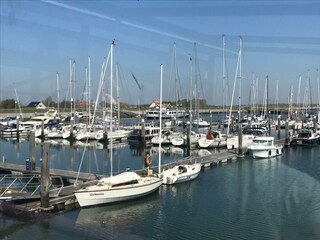 Casa per le vacanze Ouddorp Ambiente 36