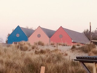 Vakantiehuis Ouddorp Omgeving 37